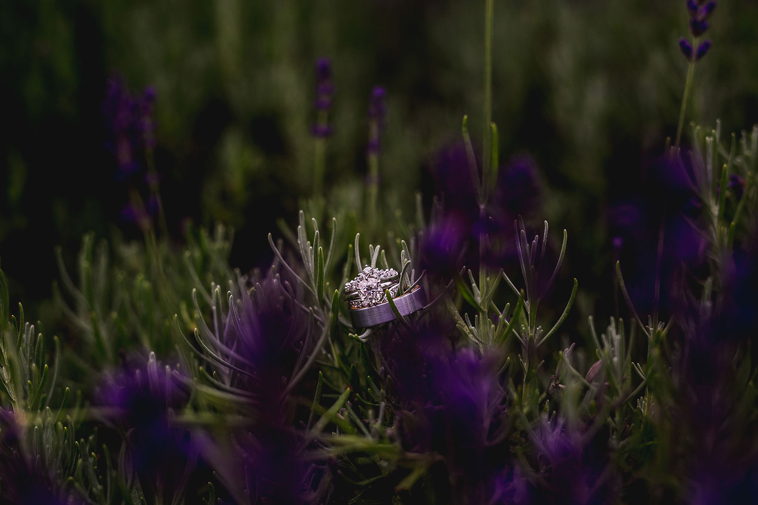 Colorful Michigan Lavender Farm Wedding Something Blue Weddings