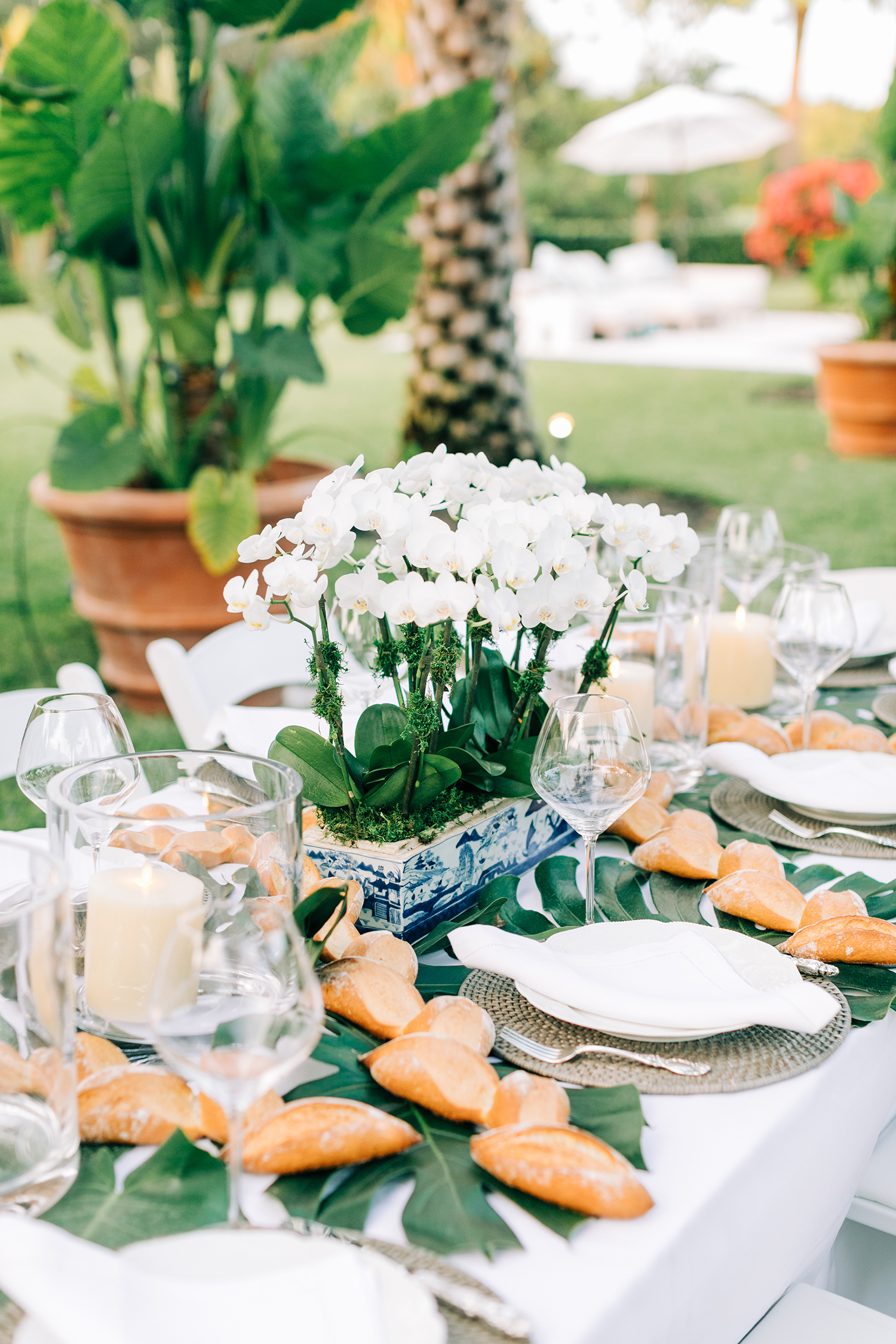 A Palm Beach Backyard Elopement | Something Blue Weddings